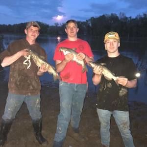 Meet your Posher, Hunter andrew